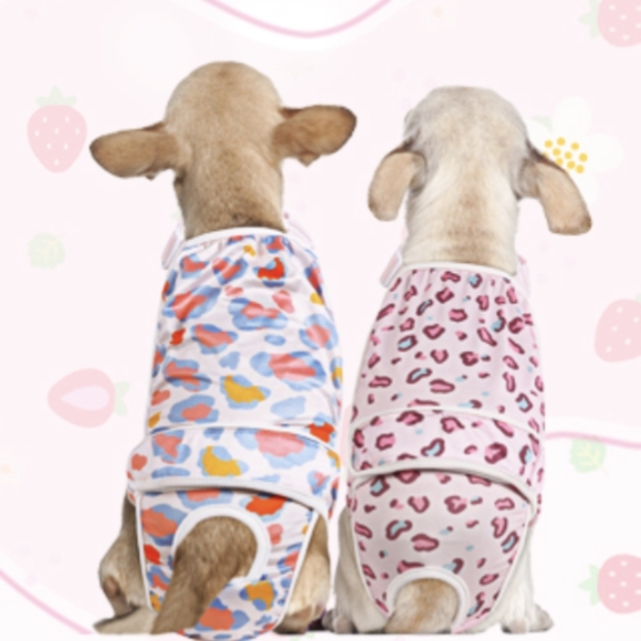 New Asenku Girl Dog Washable & Reusable Diapers Size Small - Picture 1 of 8